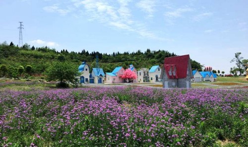 20190516826737.jpg 3.jpg