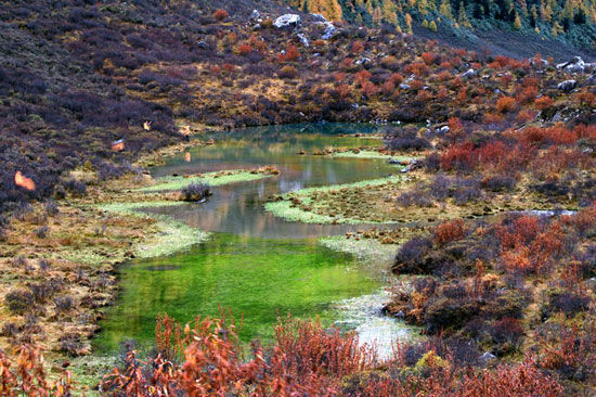 20190815834821.jpg 06.jpg