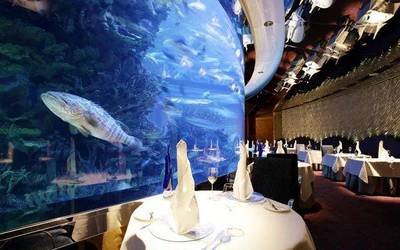 20191108194362.jpg t01bde24f8015775304.jpg