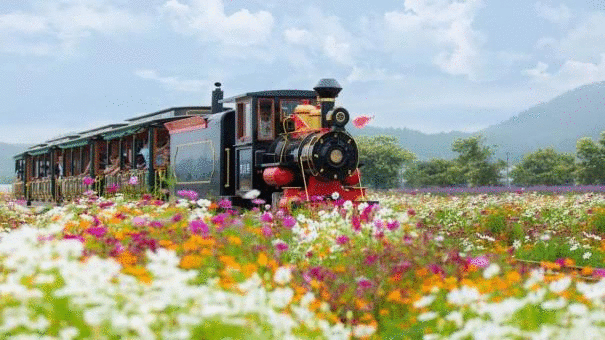 20200722998518.gif 微信图片_20200722160454.gif