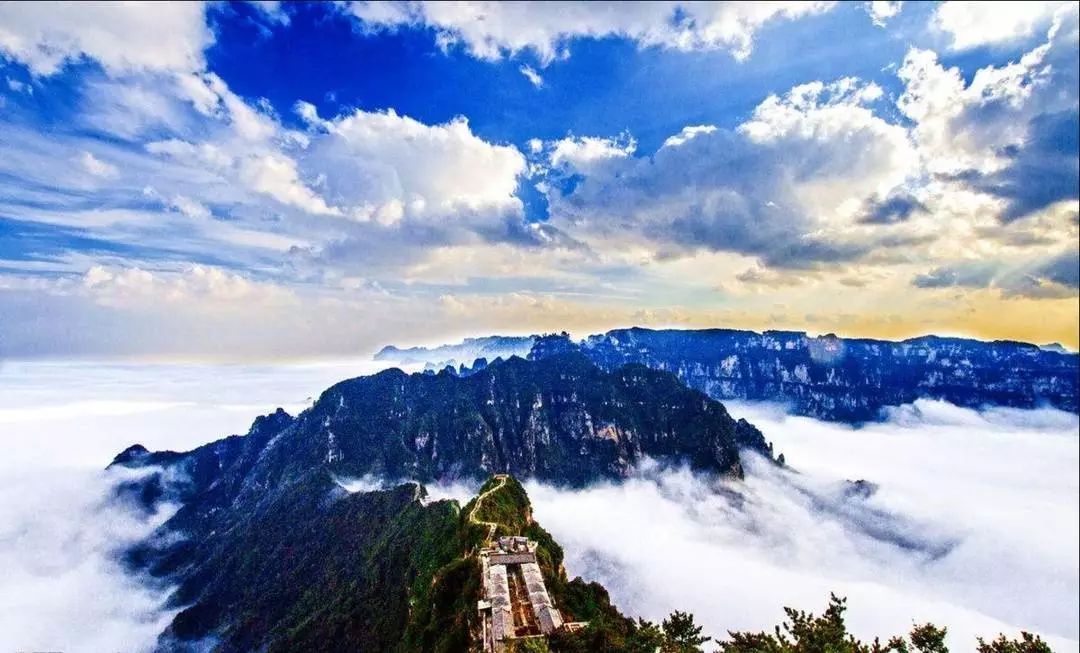 20200924489494.jpeg 93a3d079909e4687b4ee597d3b30b537.jpeg