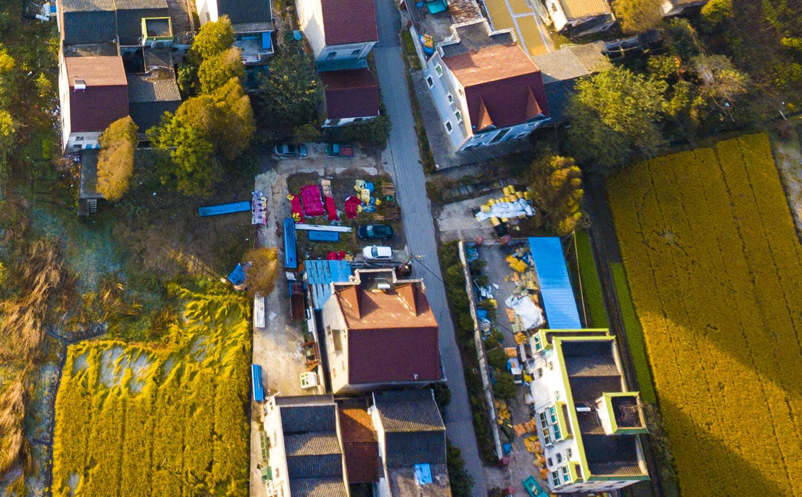 1642399688401719.png image.png