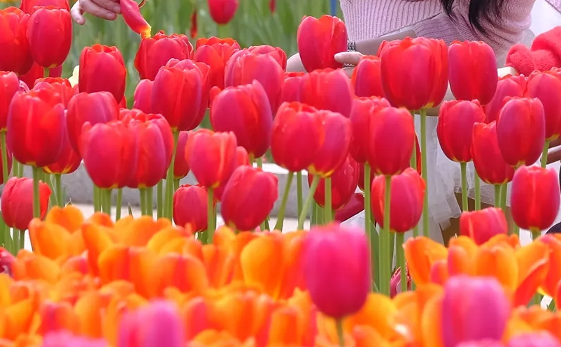 1647417867848352.png image.png