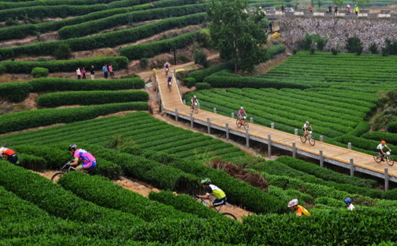 1647842556781359.png image.png