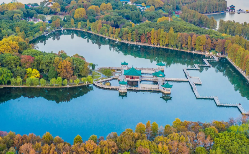 1657076198382171.png image.png