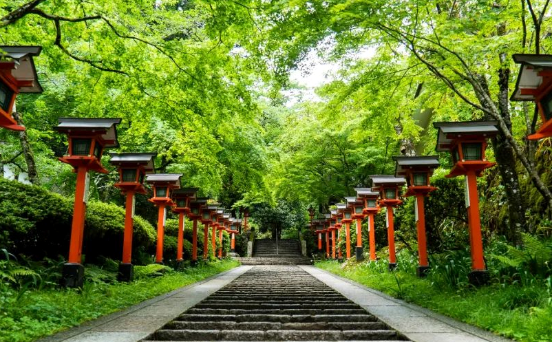 1657790198526134.png image.png