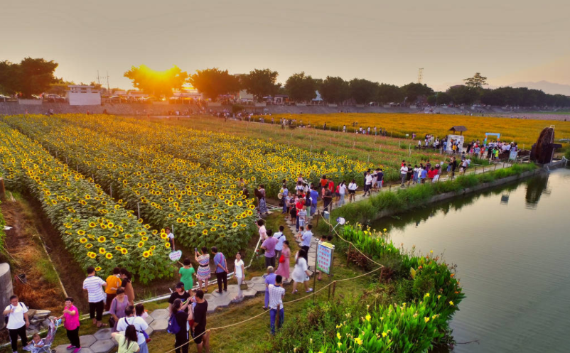 1658132287381251.png image.png