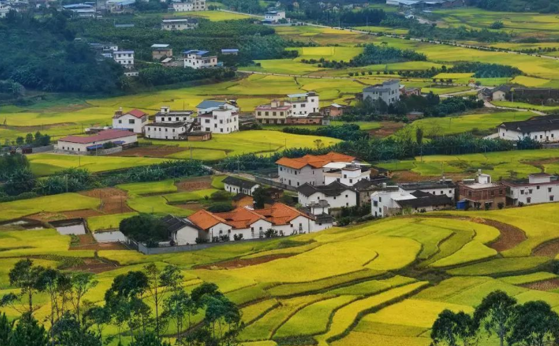 1658132305976306.png image.png