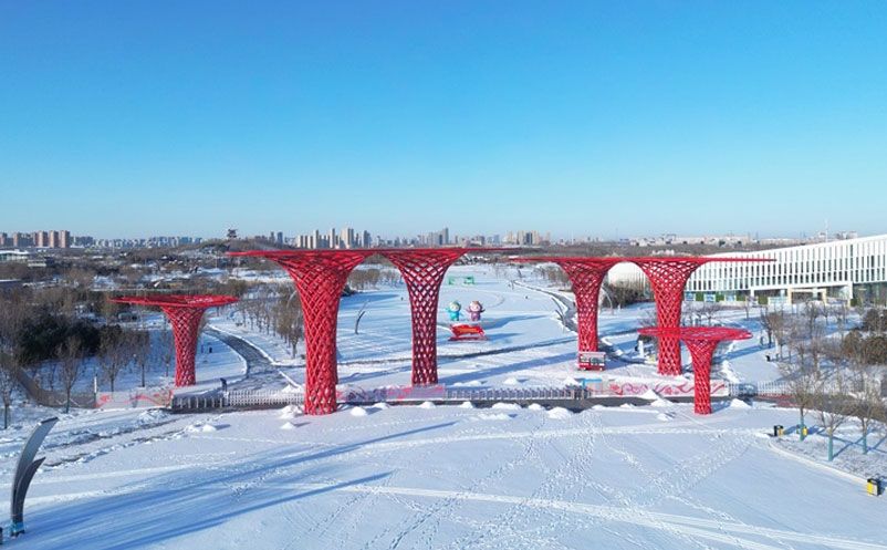 1705288044931916.jpg 1.jpg