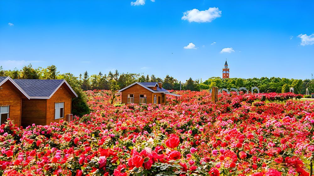 巴夫洛生态谷升级景区票务系统,采用易景通景区票务系统 巴夫洛生态谷升级景区票务系统,采用易景通景区票务系统